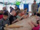 20101211_plaetzchen-backen_005