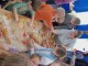 20101211_plaetzchen-backen_042