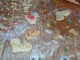 20101211_plaetzchen-backen_070